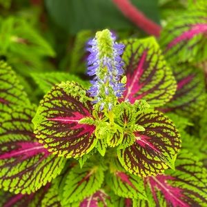 Meet your Posher, Cathy